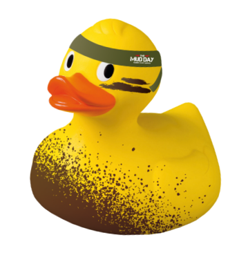 canard